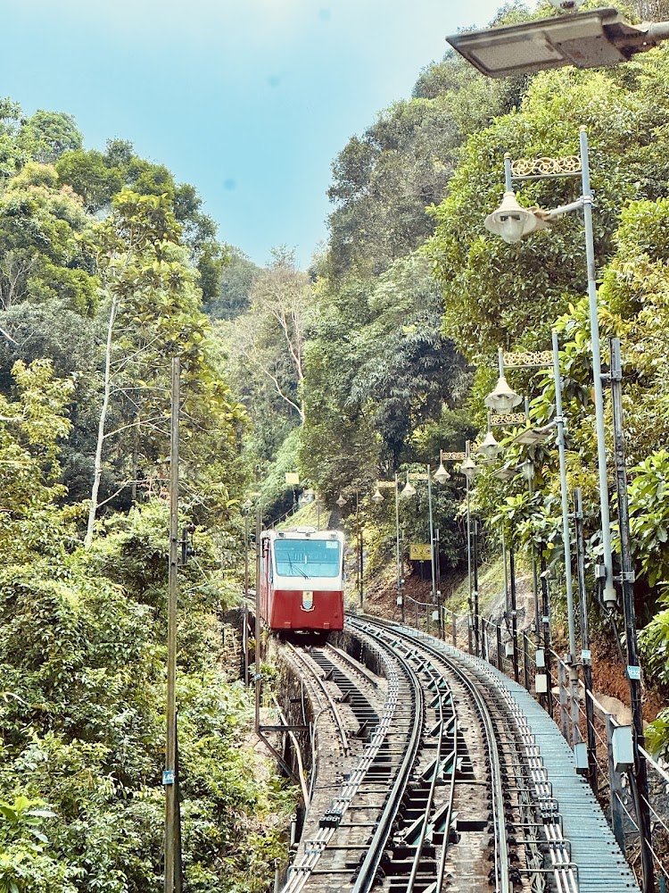 Travelvago