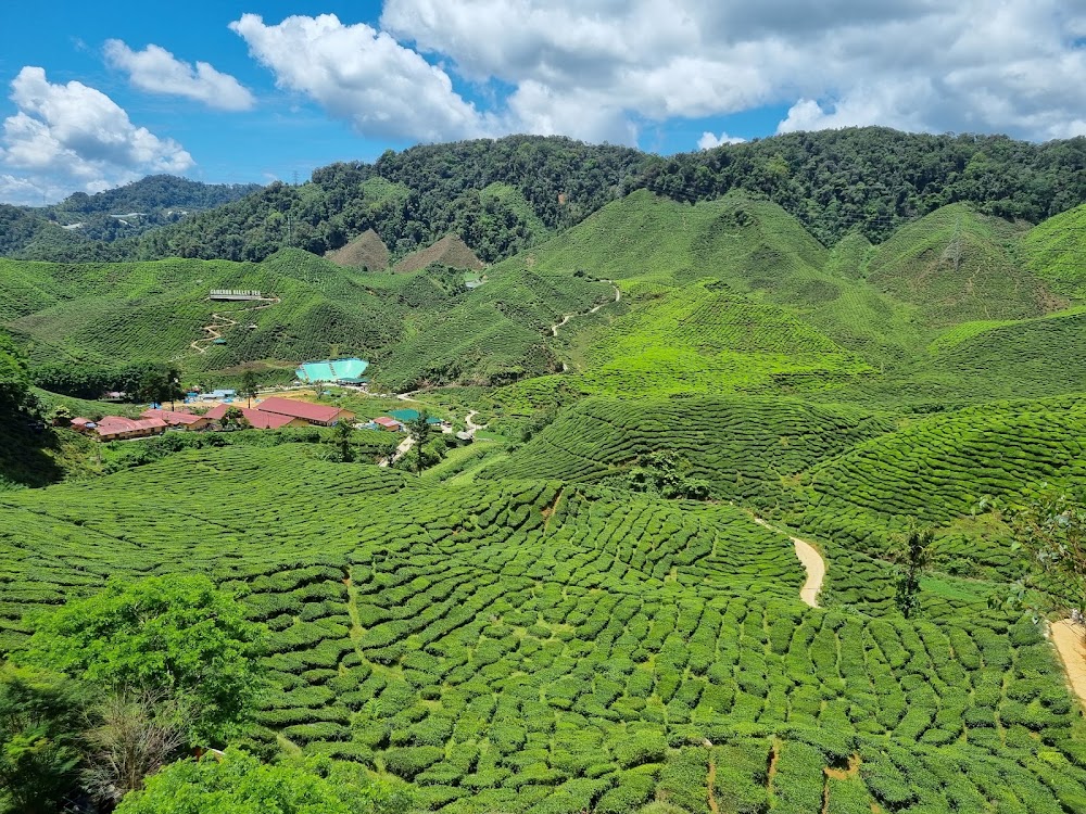 We Go With Anuar - Malaysia Private Tour Guide Specialist