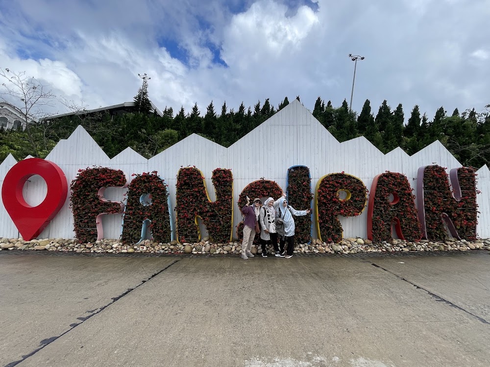 Julia Ali Travel & Tours